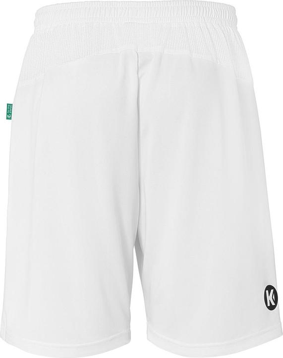 Actual product image Kempa Shorts Performance (164)