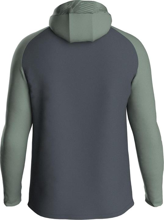 Image du produit JAKO Veste à capuche Iconic (S)