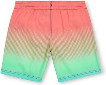 Actual product image O'Neill Jack Cali Gradient 14" Swim Shorts (152)