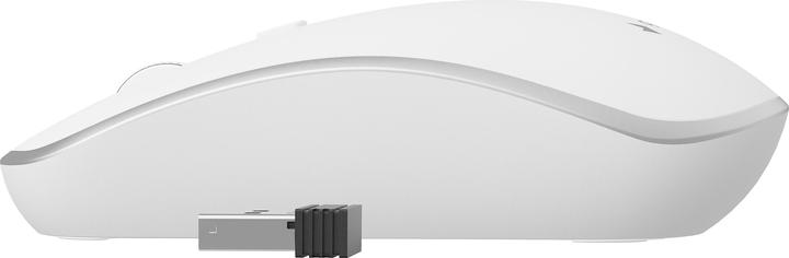 Actual product image Gembird MUSW-4B-06-WS Wireless mouse (Wireless)