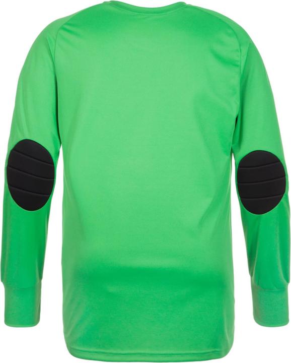 Actual product image adidas Assita 17 Goalkeeper (116)