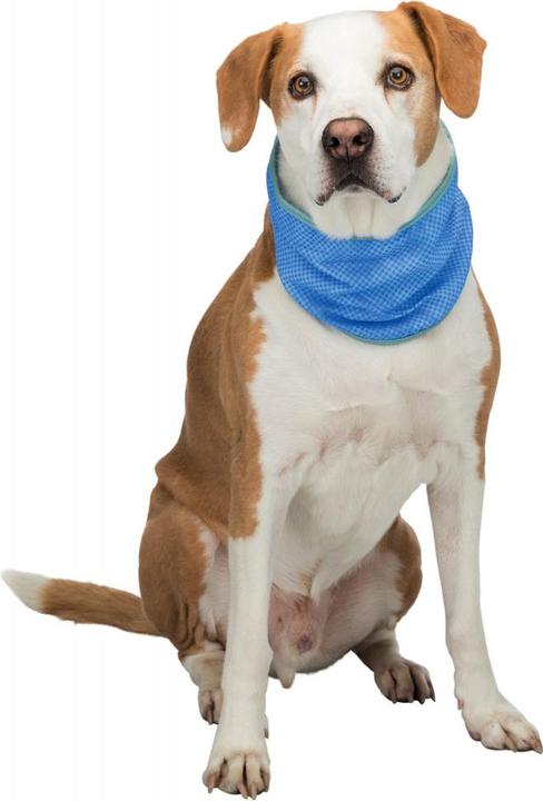 Produktbild Trixie Kühlbandana (M, Hundehalstuch)