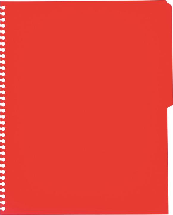 Immagine prodotto Oxford Activebook (A4, Quadretti, Copertina morbida)