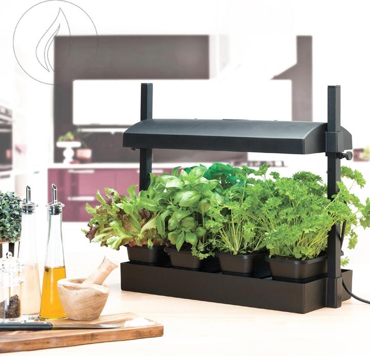 Produktbild Garland Micro Grow Light Garden Black (20 cm)