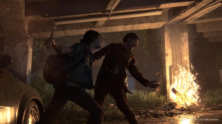 Actual product image Sony The Last of Us Part 2 - Special Edition (PS4, Multilingual)