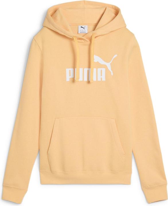 Puma ESS No. 1 Logo Hoodie FL (s)