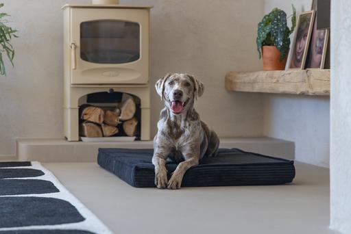 Productafbeelding Designed by Lotte Orthopedisch kooikussen Geribd (Hond)