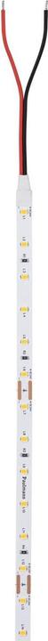 Actual product image Paulmann Pro Strip Silver P25 (Warm white, 500 cm, Indoor)