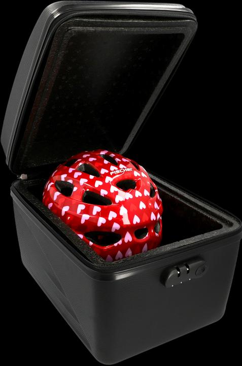 Immagine prodotto Fischer Isolier-Gepäckträgerbox (19 l, Borsa portapacchi)