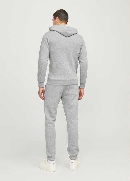 Immagine prodotto Jack & Jones Jrebrebel Logo Sweat Hood Noos (L)