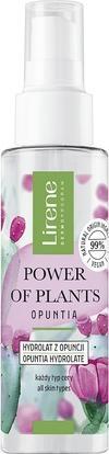 Actual product image Lirene LIRENE Power of Plants hydrolate Opuncja 100ml (Powder, 100 ml)