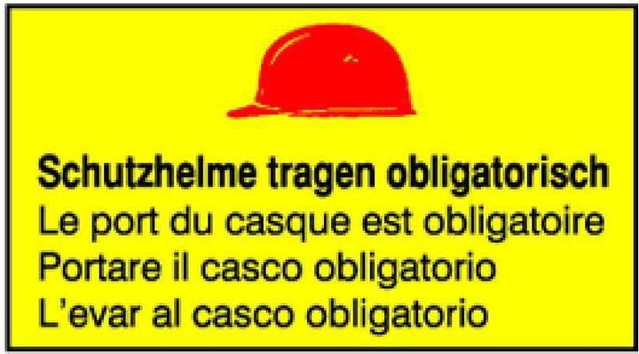 Image du produit BRW Signaux Le port du casque est obligatoire 15.05