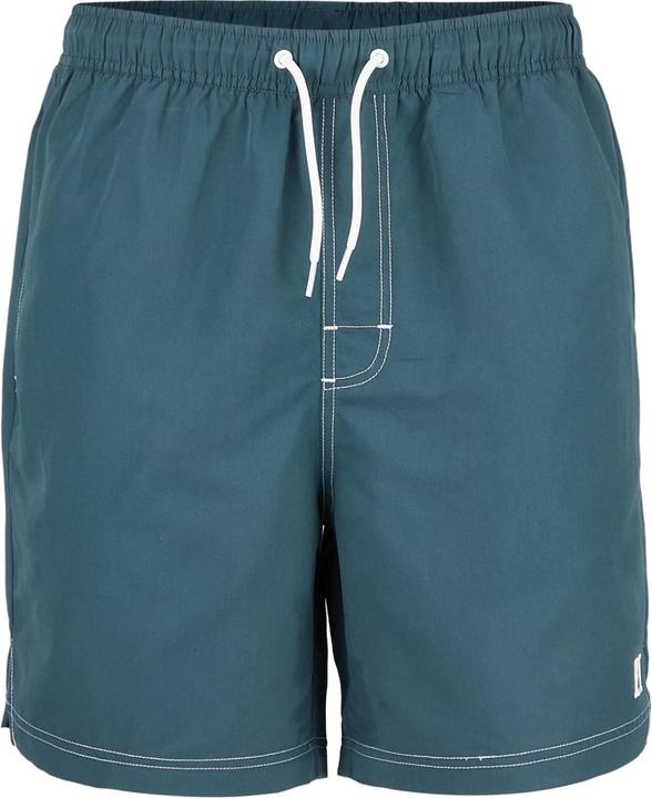 Heber Peak SeapineHe. Boardshorts