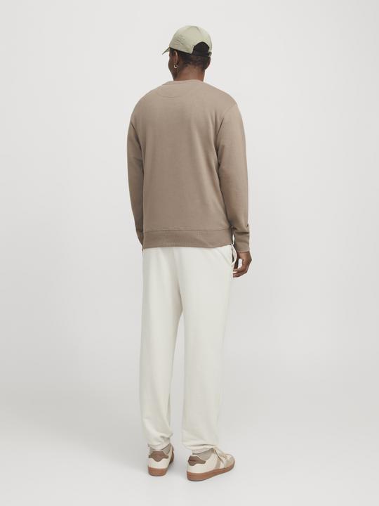 Actual product image Jack & Jones Jpstmorgan Charge Sweat Pants Noos (XS)