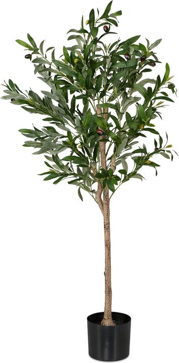 Immagine prodotto Relaxdays Albero d'ulivo (120 cm)