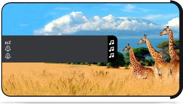 Image du produit Bigben Safari