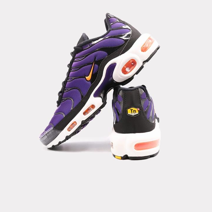 Nike Air Max Plus OG (41)