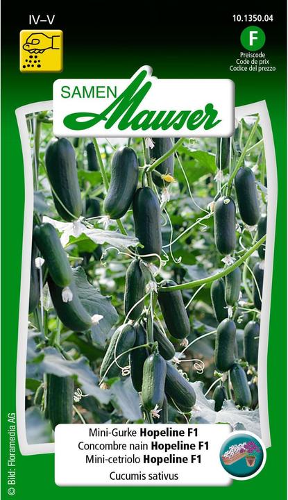 Mini-Gurke Hopeline F1 (Vegetable seeds)