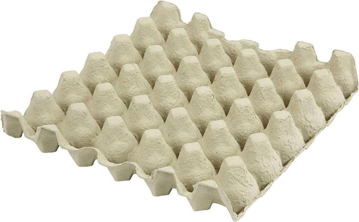 Actual product image Creativ Company Egg tray