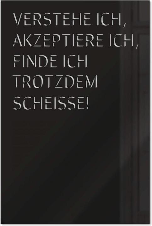 Produktbild Trenddeko Verstehe ich, akzeptiere ich, find ich trotzdem scheisse (20 x 30 cm, 30 x 45 cm, 40 x 60 cm)