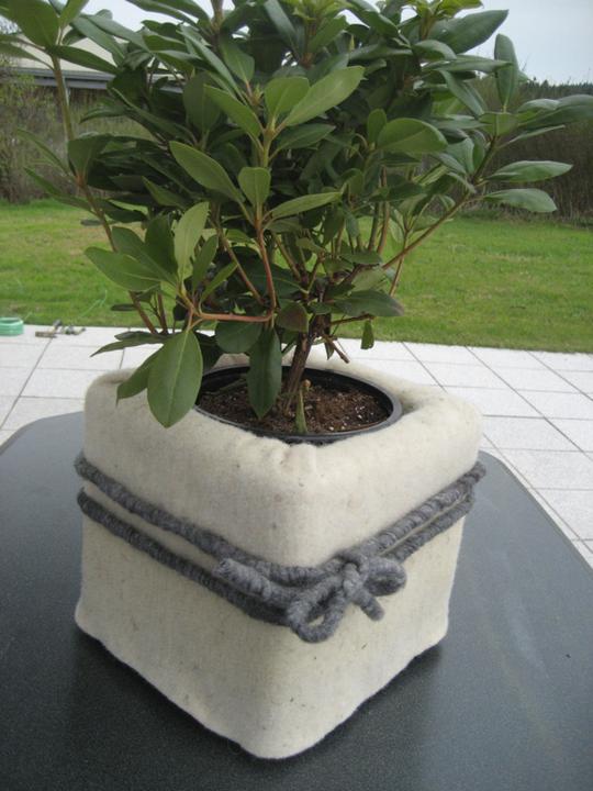 Actual product image Windhager Felt mat