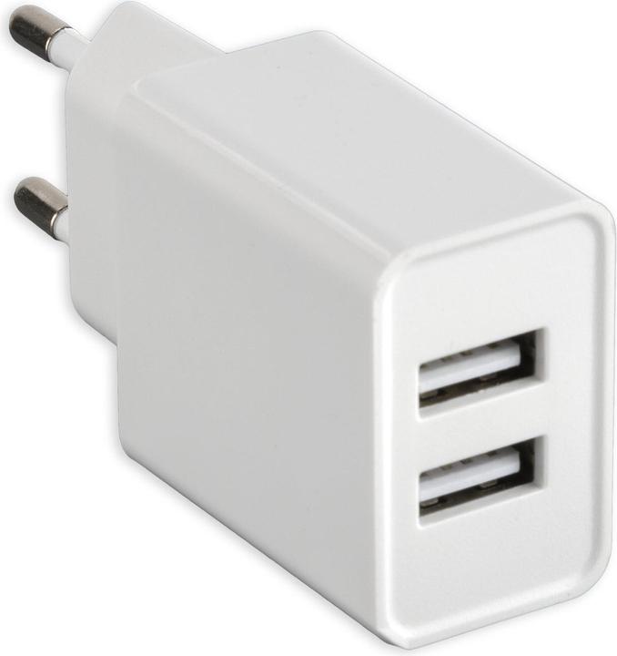 Actual product image 4smarts VoltPlug Dual (12 W)