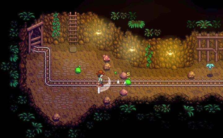 Image du produit Fangamer La vallée des étoiles (Switch, DE)