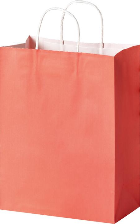 Immagine prodotto Folia Papiertüten L BASIC, aus 110g/m² Kraftpapier