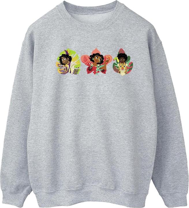 Disney Encanto Family Line Sweatshirt (XXL)