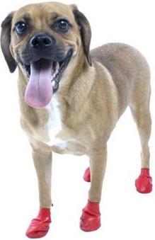 Productafbeelding Pawz Bescherming van de poot (L)
