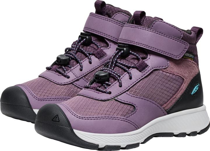 Plum Perfect, Black Plum