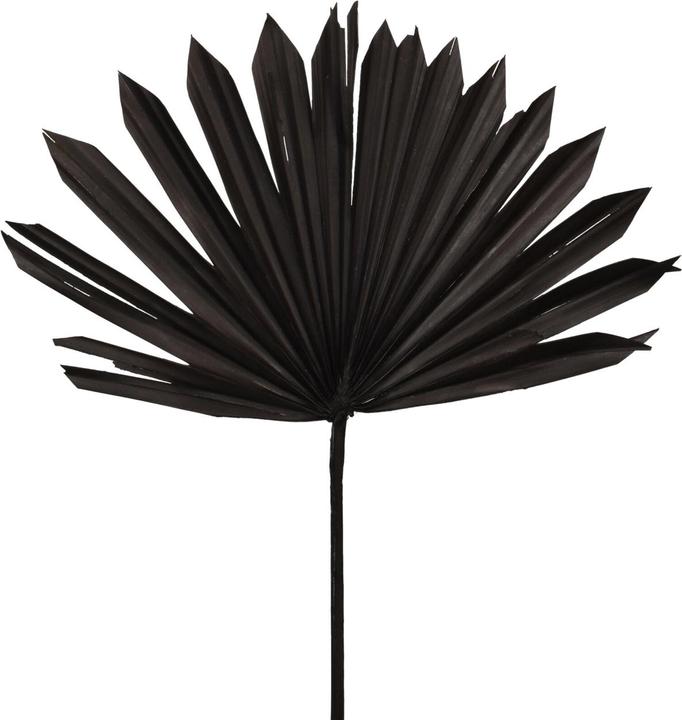 Produktbild Casativo Deko-Blatt, schwarz, 40 x 45 cm (40 x 45 cm)