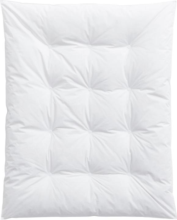 Image du produit Billerbeck Sandra (65 x 75 cm)
