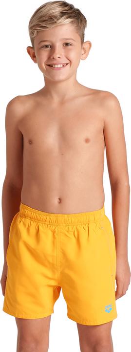Arena B Beach Boxer Solid R