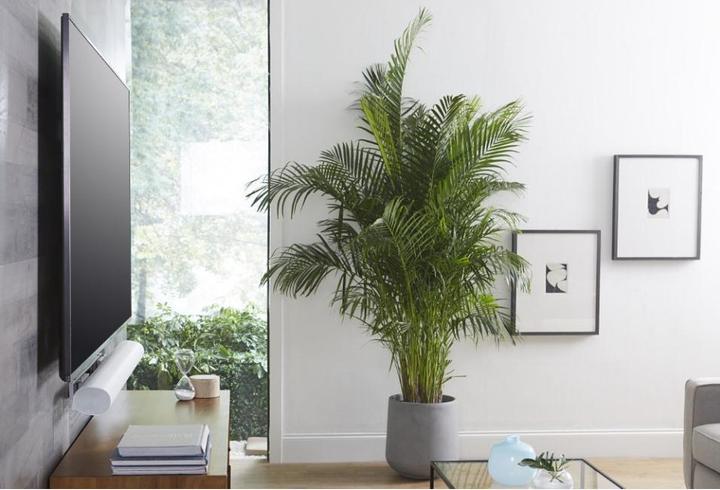 Image du produit Sanus Support mural pour Sonos ARC (1 pièce, Installation murale)