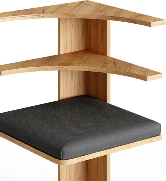 Anthracite, Sable