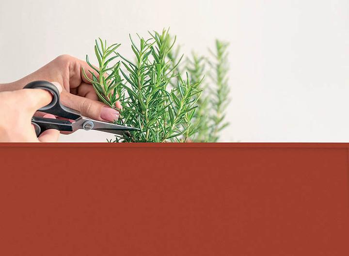 Actual product image Herstera Urban Garden