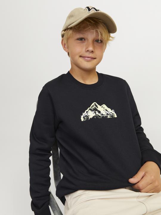 Actual product image Jack & Jones Jcomountain Logo Sweat Crew Neck Sn Mni (98)