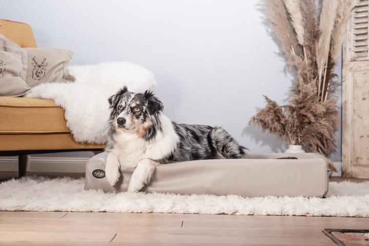Image du produit Sabro Lit pour chien Kudde (Chien)