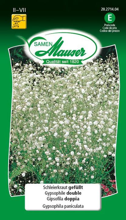 Produktbild Samen Mauser Schleierkraut gefüllt (Pflanzensamen)