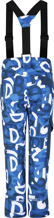 Actual product image Dare2b Childrens/Kids Pow Graffiti Ski Trousers (170)
