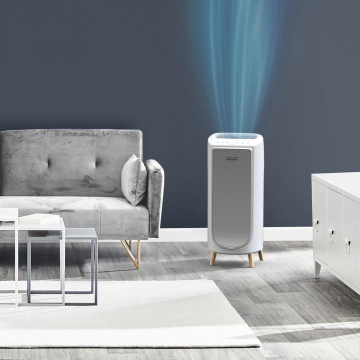 Immagine prodotto Rowenta Aria pura e intensa (36 m²)