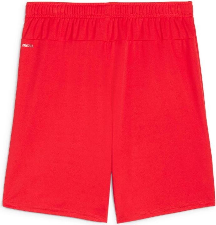 Produktbild Puma teamGOAL Shorts (L)