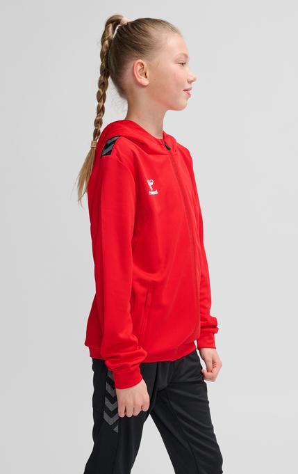 Actual product image hummel Hmlauthentic Pl Zip Hoodie Kids (164)
