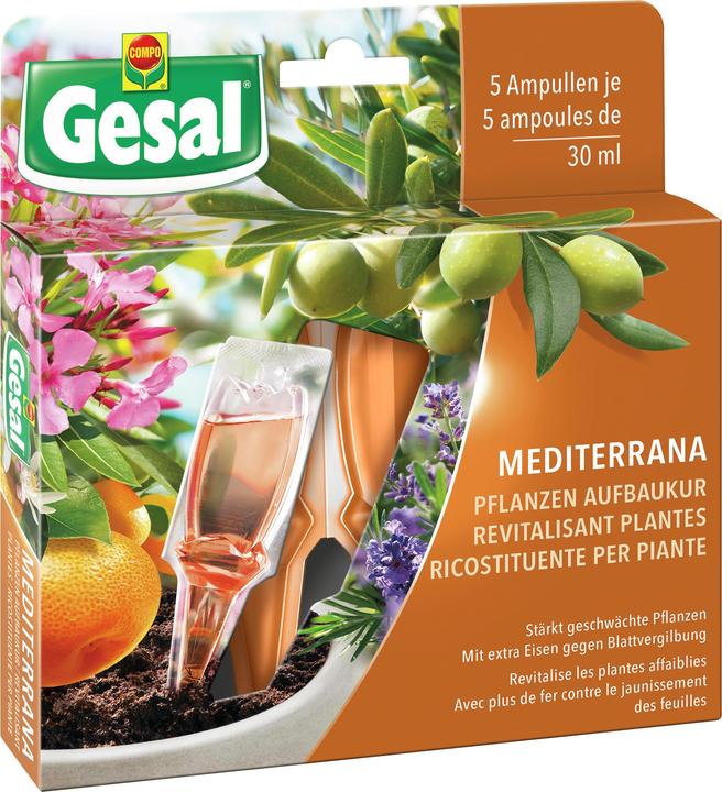 Gesal Mediterrana Pflanzen Aufbaukur (0.65 kg, 0.15 l)