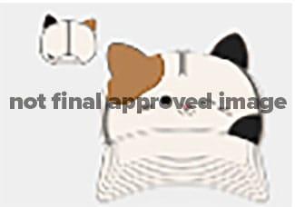 Actual product image Difuzed Squishmallows casquette baseball Cameron Novelty