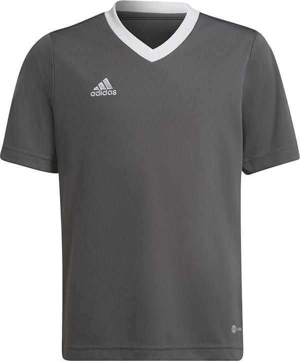adidas Entrada 22 Fussballtrikot Kinder (164)