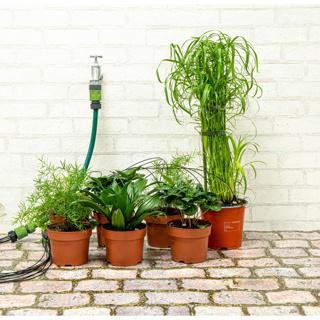 Actual product image Kinzo Irrigation drip set (Drip hose + drip tube)