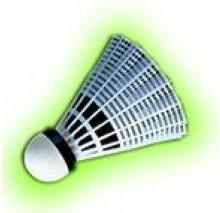 Produktbild Yonex Mavis 350