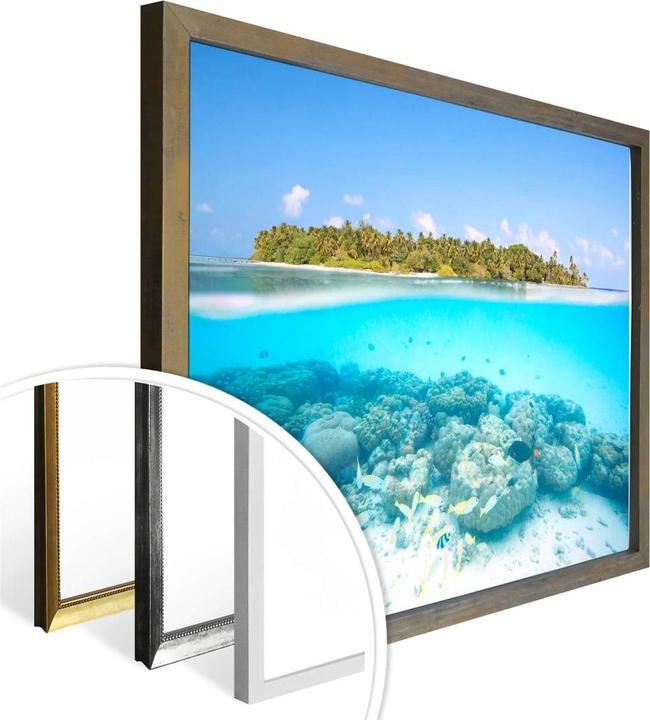 Produktbild Trenddeko Unterwasserwelt der Malediven (80 x 60 cm)